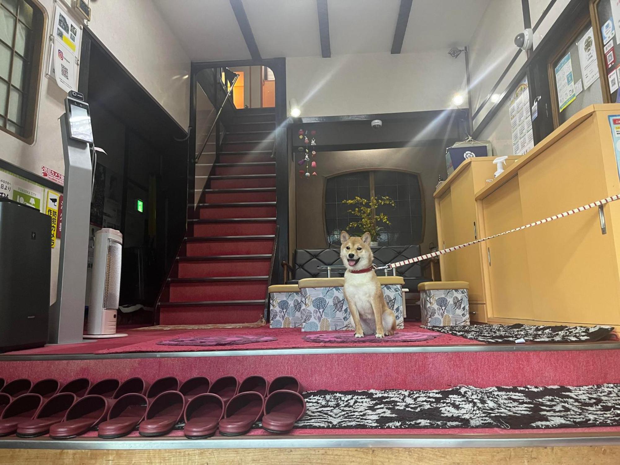 Yamamoto Ryokan Fukuoka Hakata Bagian luar foto